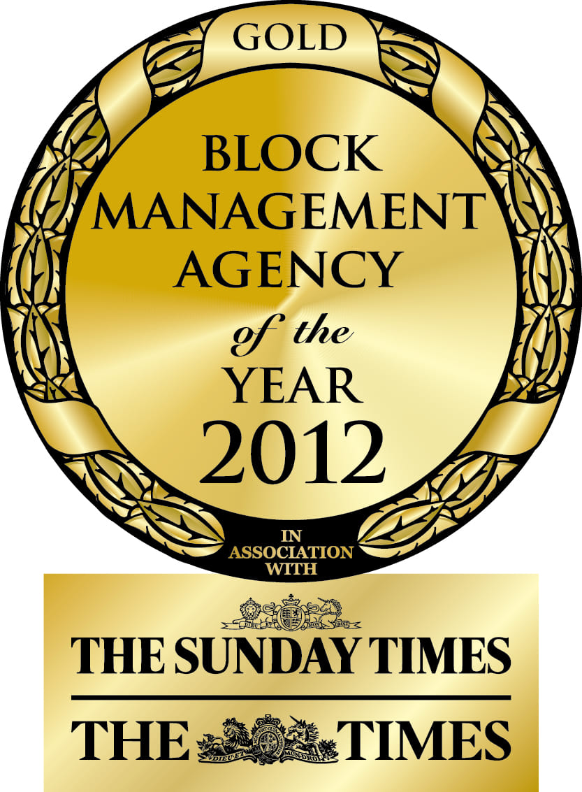 awards - The Times winner gold 2012