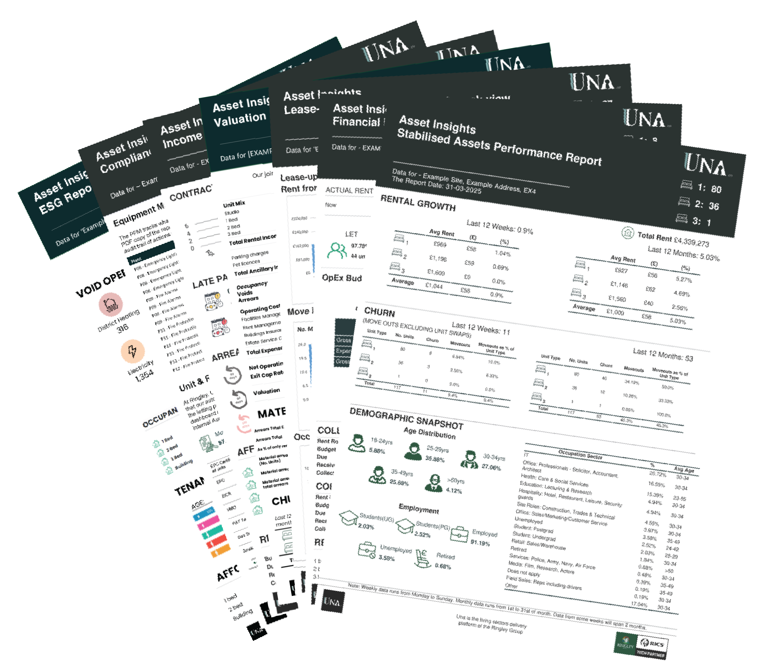 assets management - assets insights section image