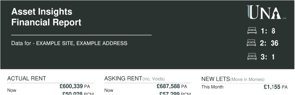 assets insights financial report