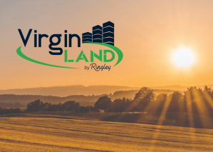 Why Ringley is the best choice for Asset Management - Virginland
