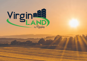 Why Ringley is the best choice for Asset Management - Virginland