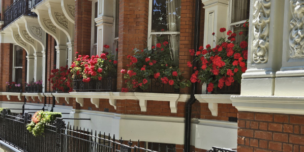 freehold management - an FMC shareholder wears many hats