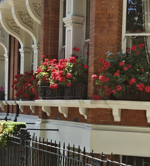 freehold management - popup an FMC shareholder wears many hats