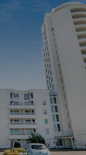 homepage - operational living sector experts - professional services image